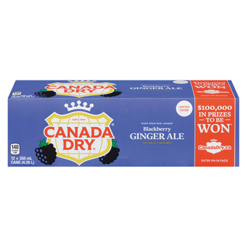 Canada Dry USA Blackberry Ginger Ale (12 x 0,355 Liter cans) - Image 2