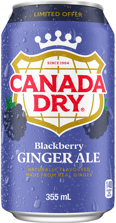 Canada Dry USA Blackberry Ginger Ale (12 x 0,355 Liter cans)